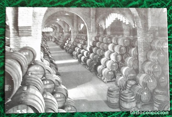 Postales: Casa Codorniu (San Sadurni de Noya). 5 Una bodega. Nueva. Blanco/Negro