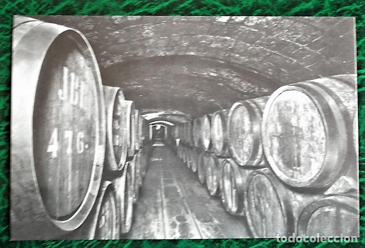 Postales: San Sadurni de Noya. Casa Codorniu. 6 Vinos en crianza. Nueva. Blanco/Negro.