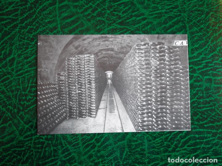 Postales: Casa Codorniu (San Sadurni de Noya). 9 Botellas en cava. Nueva