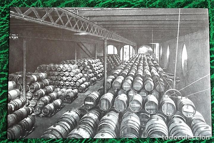 Postales: San Sadurni de Noya. Casa Codorniu. 3 Una bodega. Nueva. Blanco/Negro.