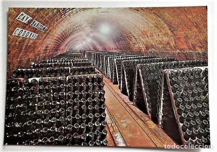 Postales: San Sadurni de Noya. Casa Codorniu. Botellas en pupitre. Nueva. Color