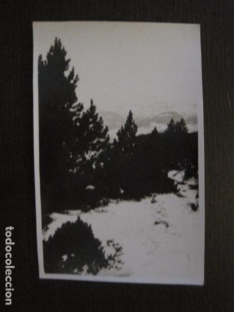 Postales: POSTAL ANTIGUA FOTOGRAFICA - CATALU&Ntilde;A ? - MONTA&Ntilde;A - ESQUI -VER REVERSO-(50.966)