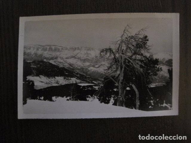 Postales: POSTAL ANTIGUA FOTOGRAFICA - CATALU&Ntilde;A ? - MONTA&Ntilde;A - ESQUI -VER REVERSO-(50.969)