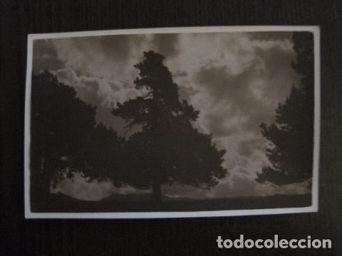Postales: POSTAL ANTIGUA FOTOGRAFICA - CATALU&Ntilde;A ? - MONTA&Ntilde;A - ESQUI -VER REVERSO-(50.978)