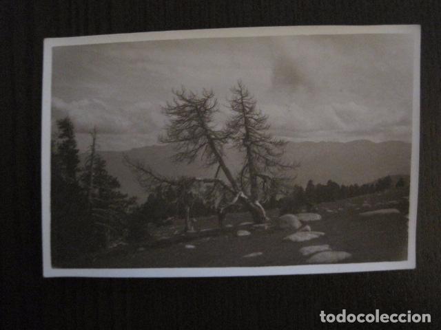 Postales: POSTAL ANTIGUA FOTOGRAFICA - CATALU&Ntilde;A ? - MONTA&Ntilde;A - ESQUI -VER REVERSO-(50.979)