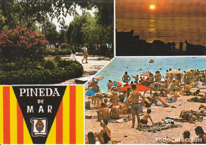 Postales: N&ordm; 32869 POSTAL PINEDA DE MAR - Foto 1