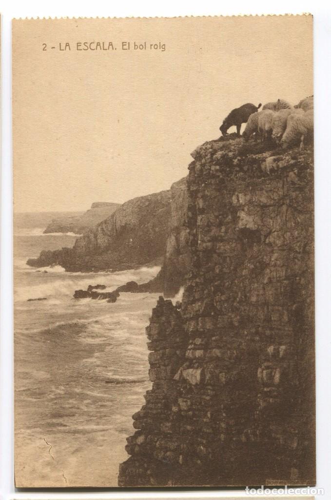 Cartoline: a01354 escala el bol roig esquirol n&ordm;2