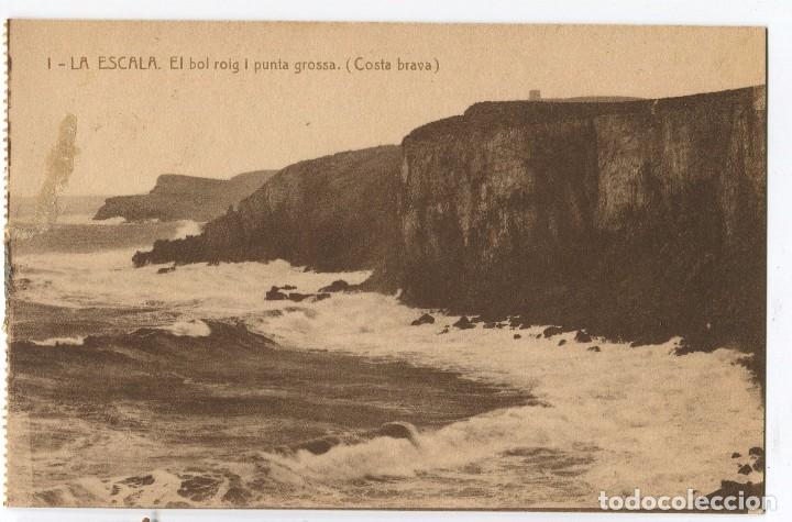 Postkarten: a01355 escala el bol roig i punta grossa esquirol n&ordm;1