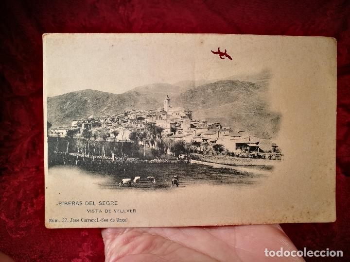 Cartes Postales: POSTAL RIBERAS DEL SEGRE-VISTA DE VELLVER.JOSE CLAVEROL