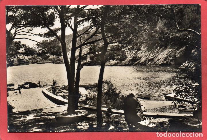 Postales: aiguafreda costa brava. 10462 zerkowitz - Foto 1
