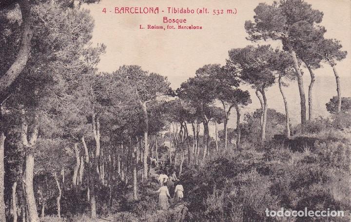 Postales: Barcelona Tibidabo Bosque (sin circular) - Foto 1