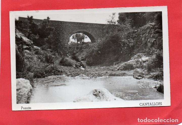 Postales: cantallops. puente - Foto 1