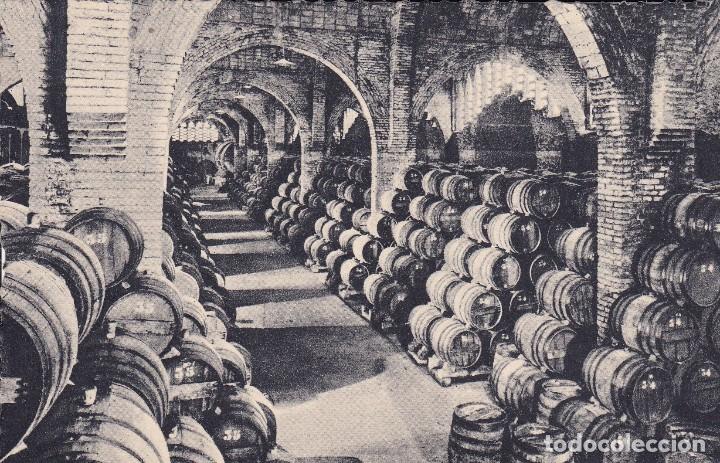 Postales: Casa Codorniu San Sadurni de Noya - Foto 1