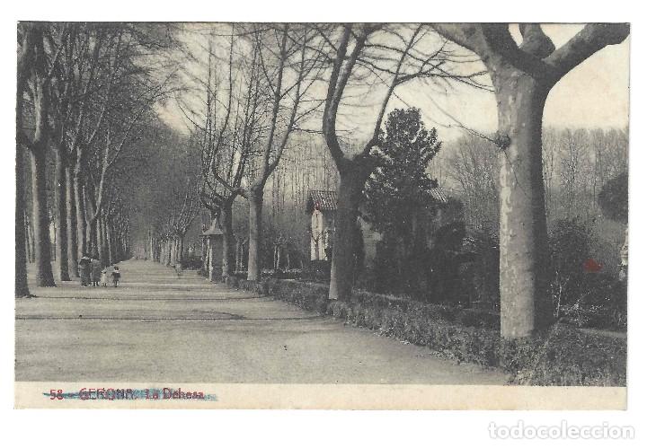 Postales: POSTAL--- GERONA.- N&ordm; 58, LA DEHESA. FOTO THOMAS- GERONA. SIN CIRCULAR