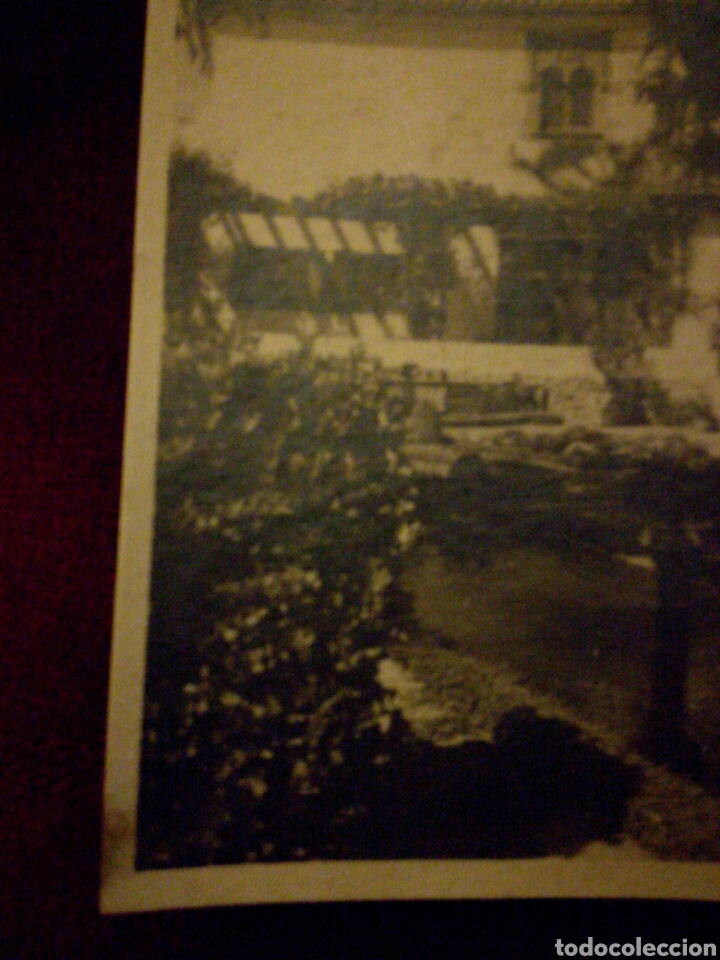 Postales: Postal SAGARO, Jard&iacute;n - Foto 2