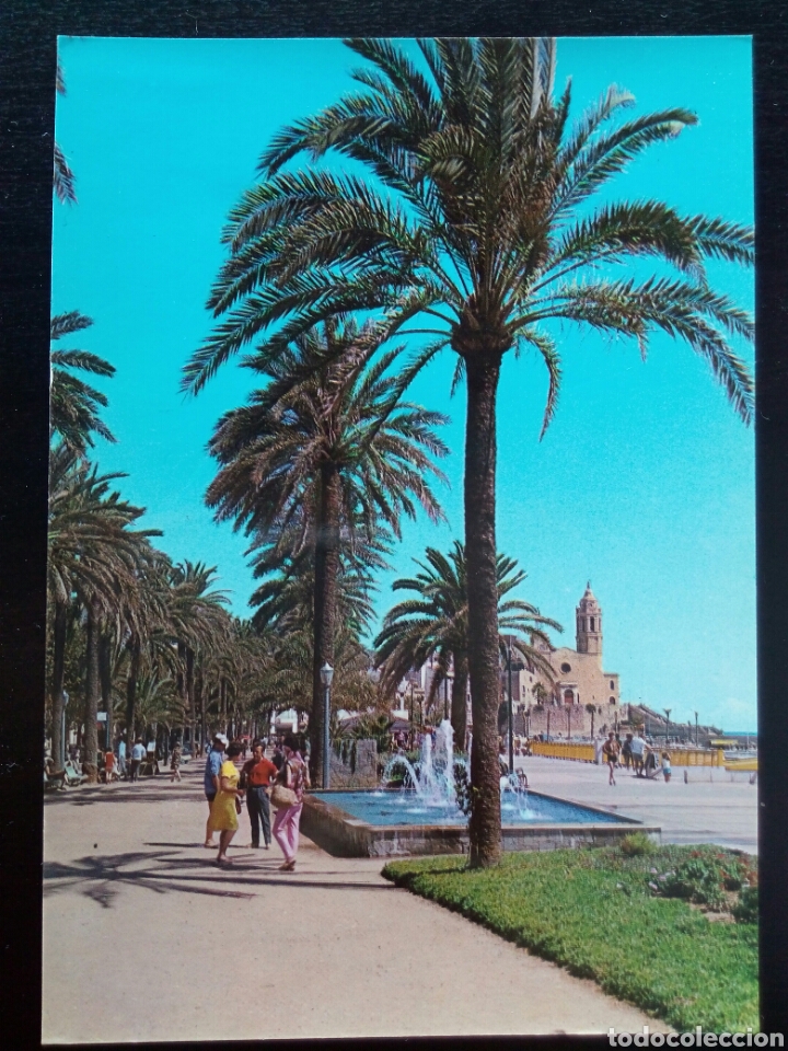Postales: Postal de Sitges. Paseo de las Palmeras. - Foto 1