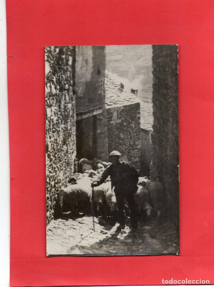 Postales: valle de aran. pastor. fotogr&aacute;fica