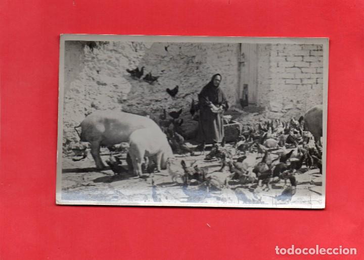 Postales: valle de aran. fotogr&aacute;fica