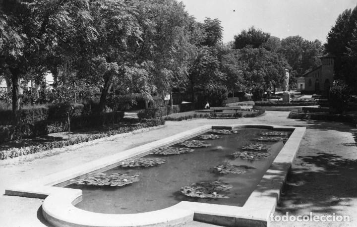 Postales: LERIDA. CAMPOS EL&Iacute;SEOS . EDICIONES SICILIA N&ordm; 35. FOTOGR&Aacute;FICA