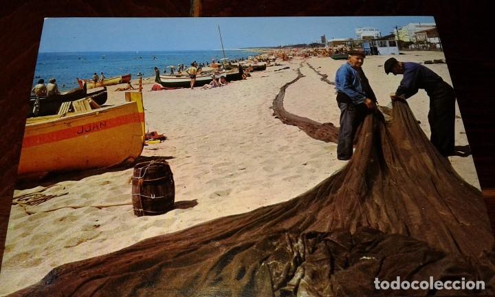 Postales: POSTAL DE MALGRAT - COSTA DORADA - Foto 1