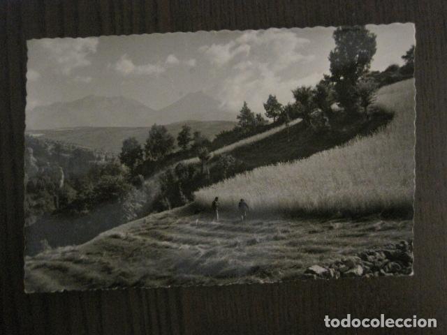 Postales: PALLARS - 97 - ALREDEDORES DE VIU DE LLEVATA - VER REVERSO - (52.216)