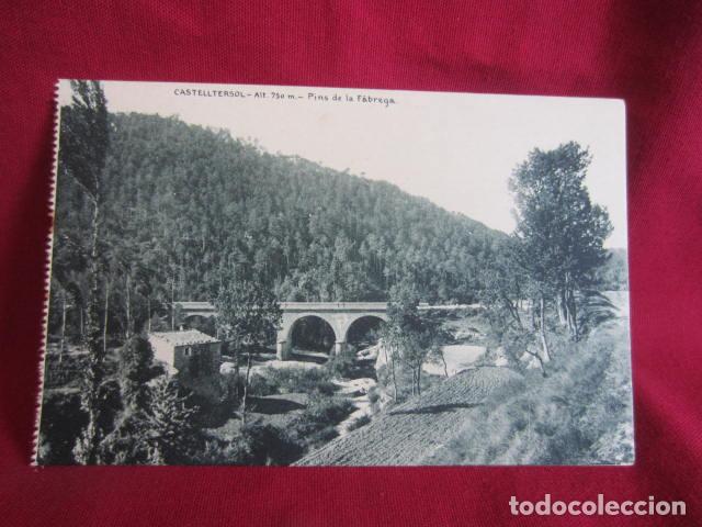 Postales: CASTELLTERSOL - PINS DE LA F&Aacute;BREGA - Foto 1