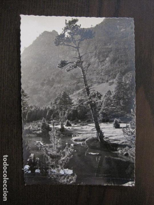 Postales: VALLE DE BOHI - 220 - BOSQUE Y LEYENDA SOBRE AGUAS TRANQUILAS - VER FOTOS - (52.328)