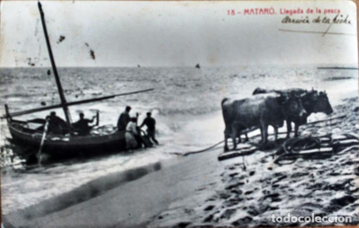 Postales: MATARO, BARCELONA, LLEGADA DE LA PESCA - Foto 1