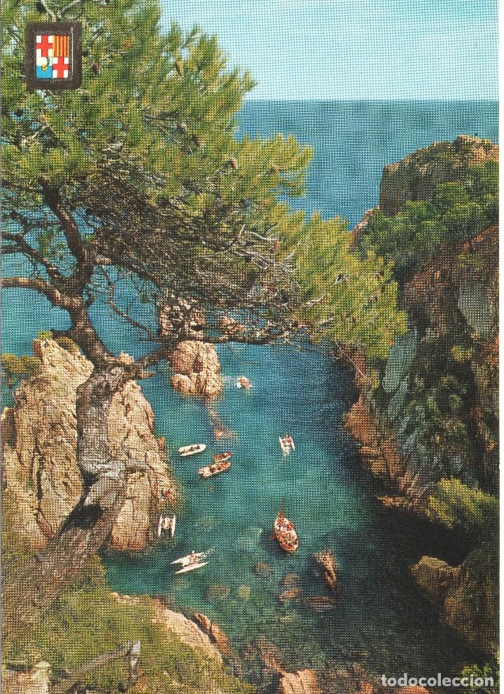 Cartes Postales: SAN FELIU DE GUIXOLS   CALA CAP DE MORT