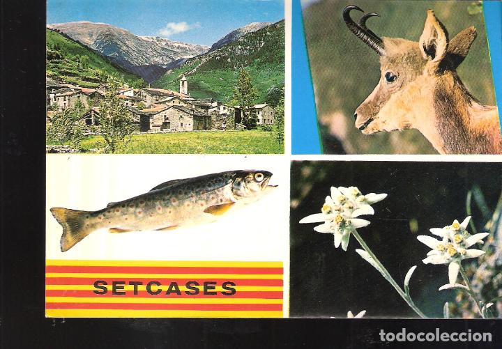 Postales: Setcases - Setcasas ( Alto Ter ) ( Gerona ). - Foto 1