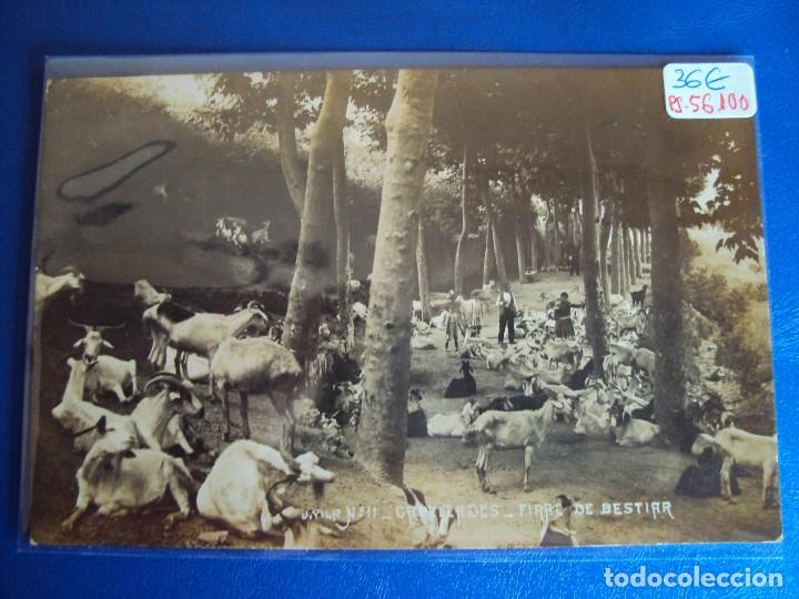 Postkarten: (PS-56100)POSTAL FOTOGRAFICA DE CAPELLADES-FIRAL DE BESTIAR