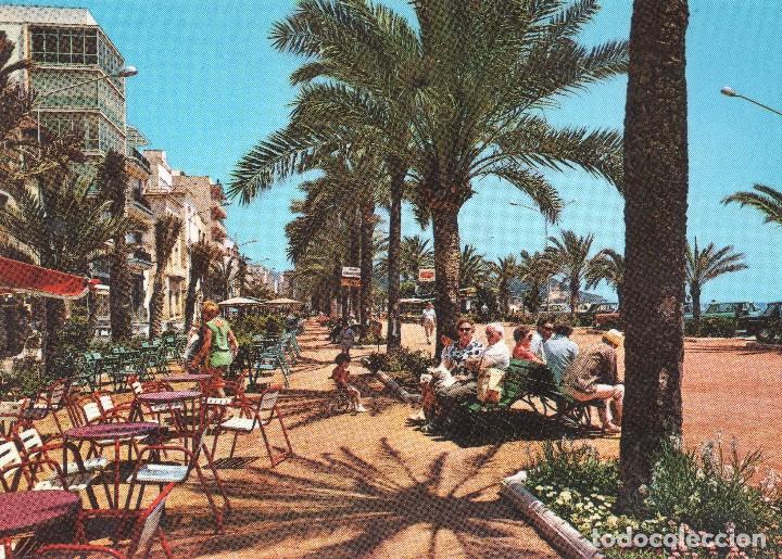 Postales: COSTA BRAVA   LLORET  PASEO - Foto 1
