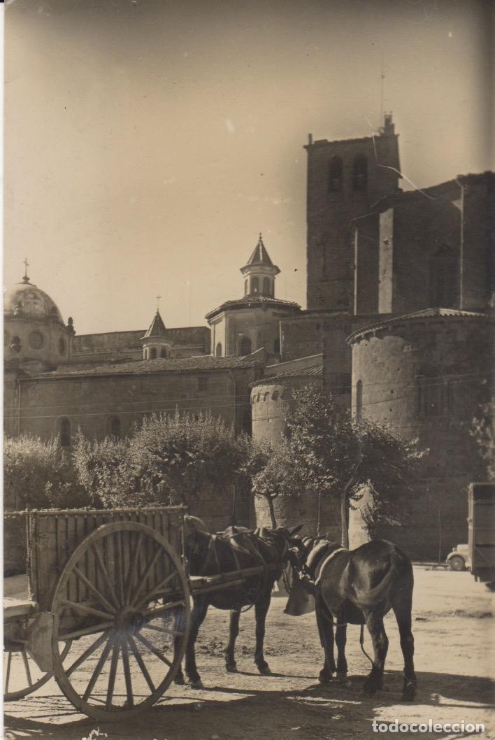 Postales: postal n&ordm; 1 solsona la catedral - Foto 1