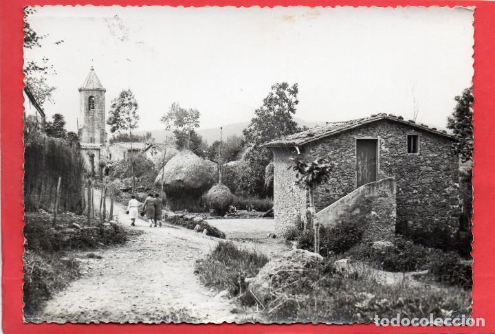 Postales: olot. la pi&ntilde;a - Foto 1