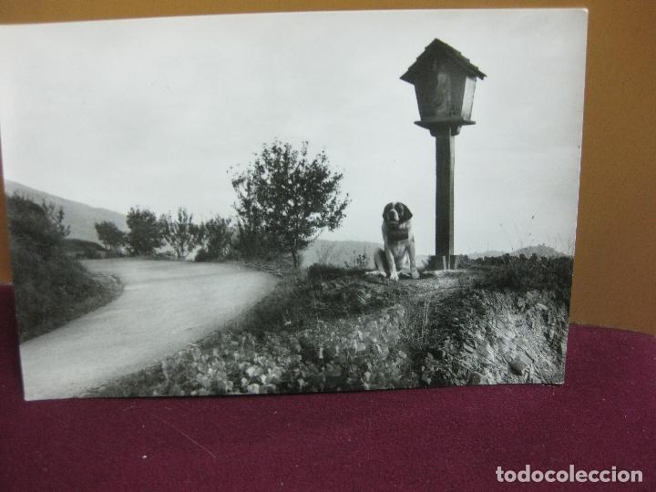 Postales: POSTAL HOTEL SAN BERNAT - ALT. 850 MTS. MONTSENY (BARCELONA-ESPA&Ntilde;A)A. ZERKOWITZ FOTOGRAFO.