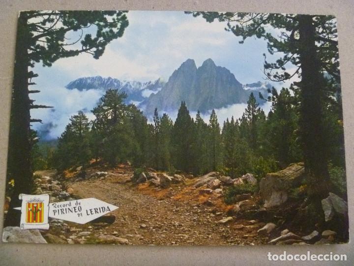 Postales: POSTAL DEL PIRINEO DE LERIDA : PAISAJE ELS ENCANTATS . A&Ntilde;OS 70