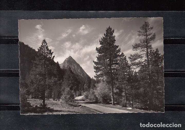 Postales: 465 - VALLE DE ESPOT. CAMINO DE SAN MAURICIO