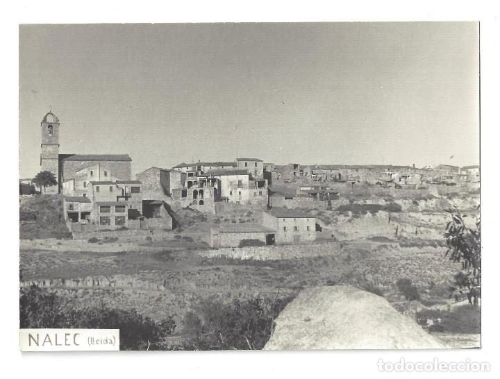 Postales: FOTO POSTAL SIN IMPRESI&Oacute;N EN EL REVERSO- NALEC. L&Eacute;RIDA- SIN CIRCULAR