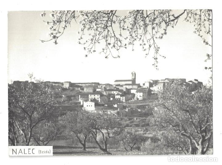 Postales: FOTO POSTAL SIN IMPRESI&Oacute;N EN EL REVERSO- NALEC. L&Eacute;RIDA- SIN CIRCULAR