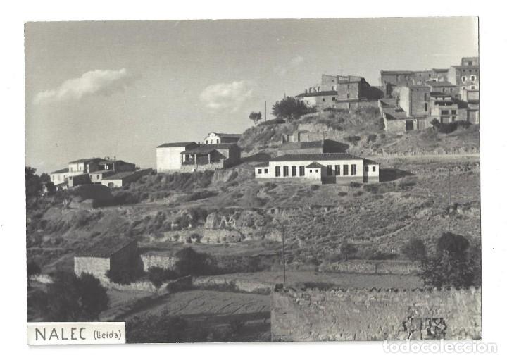 Postales: FOTO POSTAL SIN IMPRESI&Oacute;N EN EL REVERSO- NALEC. L&Eacute;RIDA- SIN CIRCULAR