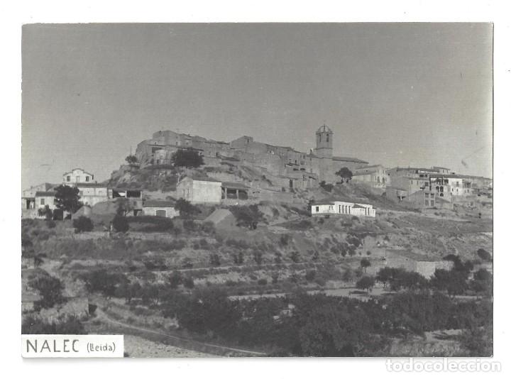 Postales: FOTO POSTAL SIN IMPRESI&Oacute;N EN EL REVERSO- NALEC. L&Eacute;RIDA- SIN CIRCULAR
