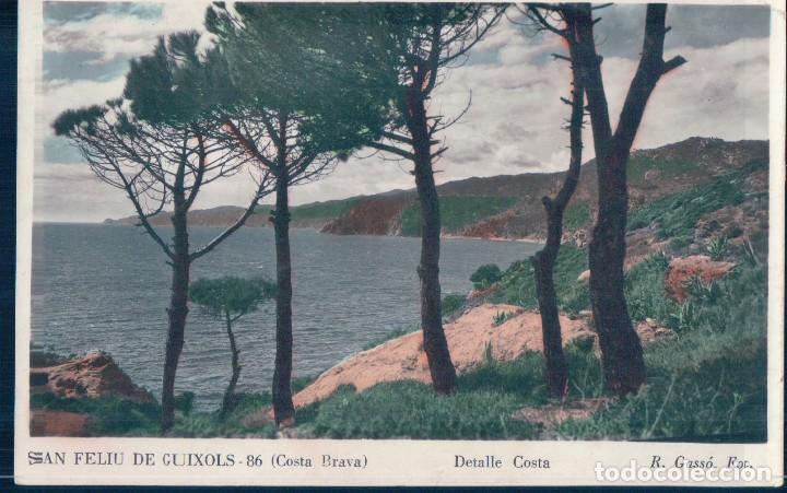Postcards: POSTAL SAN FELIU DE GUIXOLS 86 - COSTA BRAVA - DETALLE COSTA - GASSO - ESCRITA