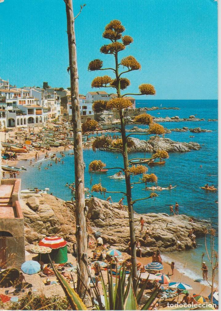 Postales: (2281) CALELLA DE PALAFRUGELL. PLAYA DEL PORT BO