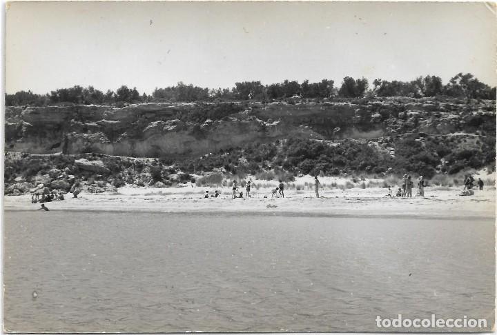 Postales: AMPOLLA .- VISTA .- EXCLUSIVAS COMESTIBLES PI&Ntilde;OL
