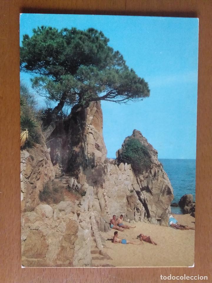 Postales: POSTAL A COLOR * COSTA BRAVA * DETALLE COSTA * NO CIRCULADA