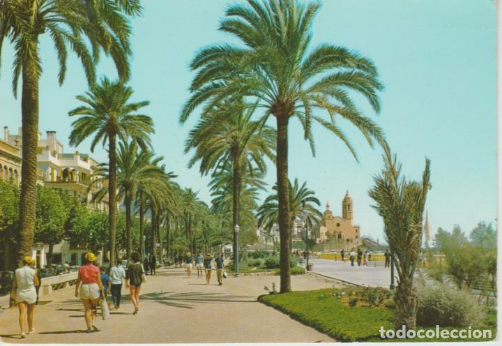 Postales: (101) SITGES. PASEO DE LAS PALMERAS - Foto 1