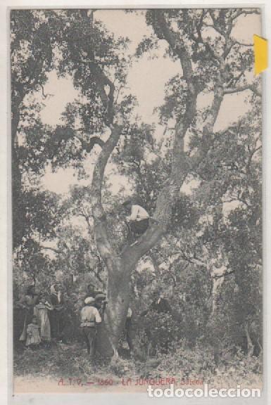 Postales: ATV 1860 La Junquera. Sureda. Sin circular. - Foto 1