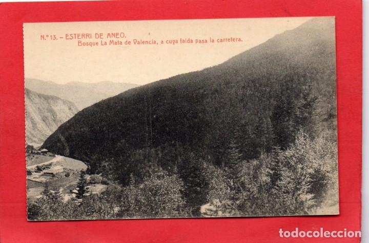 Postales: esterri de aneo. 13 bosque la mata de valencia. thomas - Foto 1