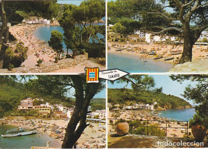Postales: tamariu, gerona - Foto 1