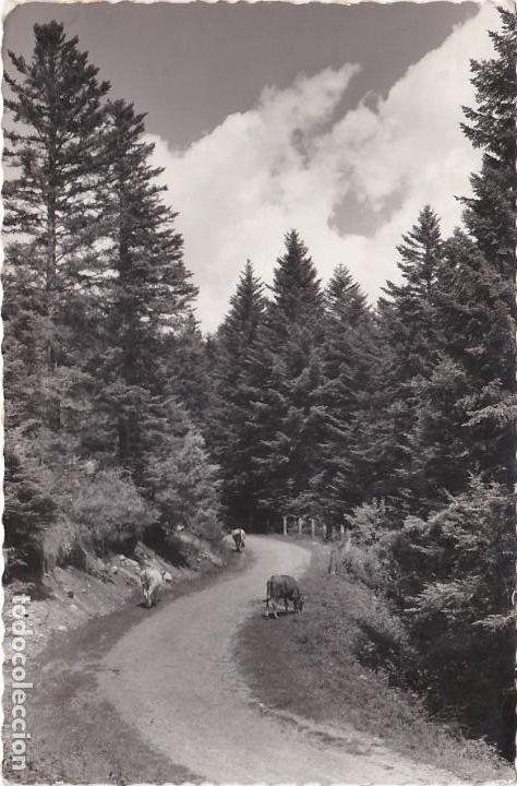 Postales: valle de aran, lerida, carretera de acceso al portillon